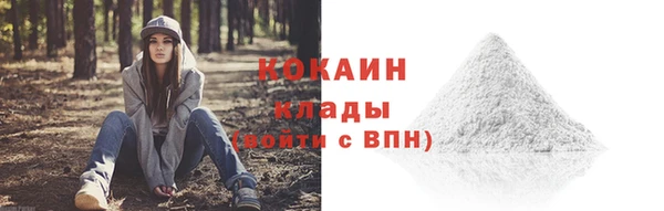 мяу мяу мука Аркадак
