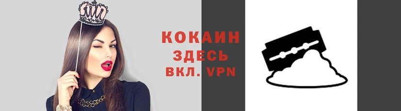 мяу мяу мука Аркадак