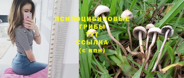 ГАЛЛЮЦИНОГЕННЫЕ ГРИБЫ Армянск