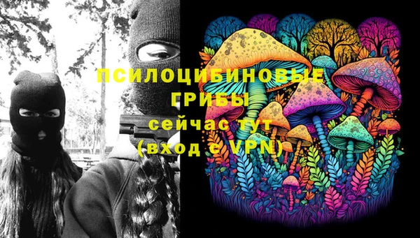 мяу мяу мука Аркадак