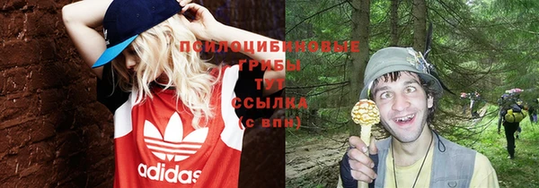 герыч Арсеньев
