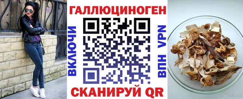 закладка  Славск  Галлюциногенные грибы Psilocybine cubensis 