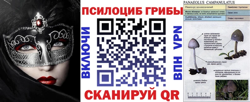 Псилоцибиновые грибы Psilocybine cubensis Славск